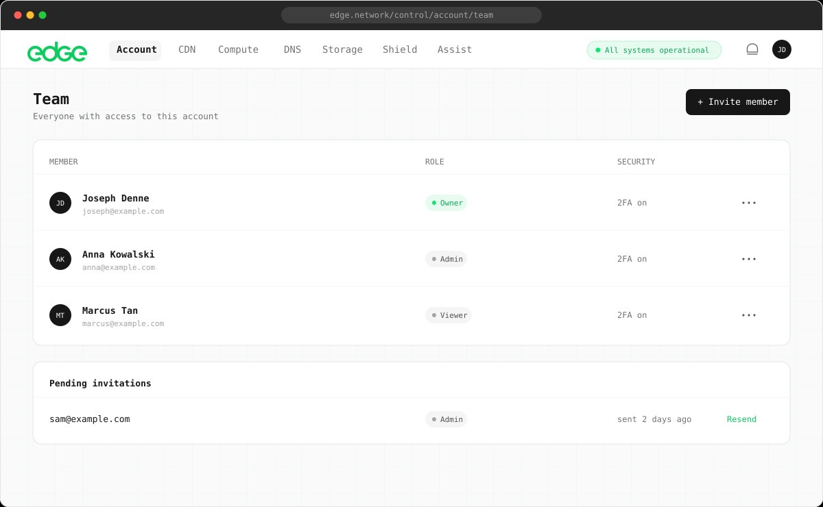 Team members list with roles and a pending invitation