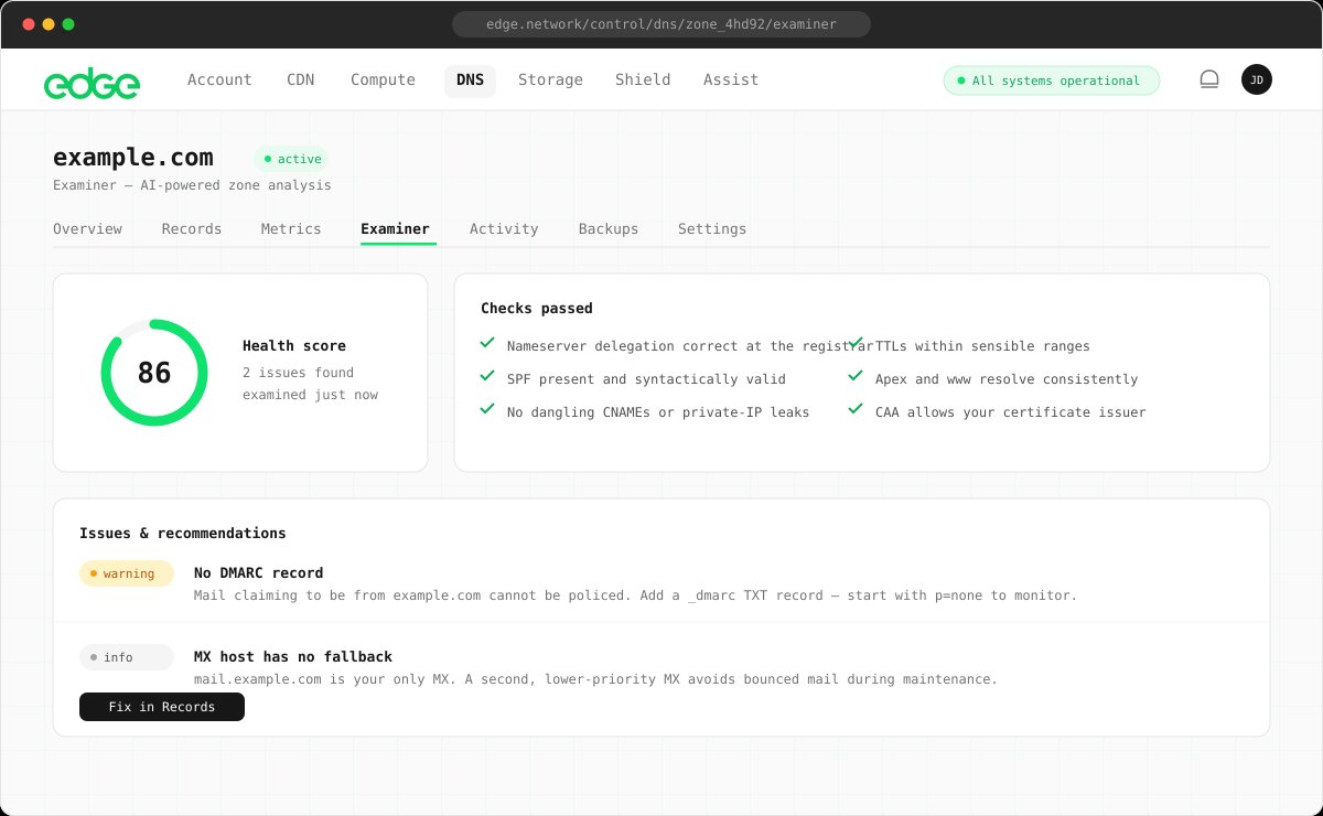 DNS Examiner results with health score and recommendations