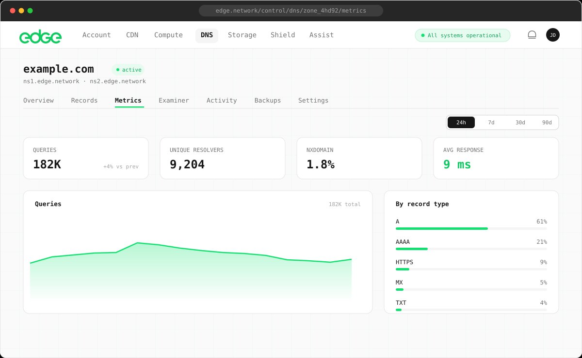 DNS metrics with query volume and record type breakdown